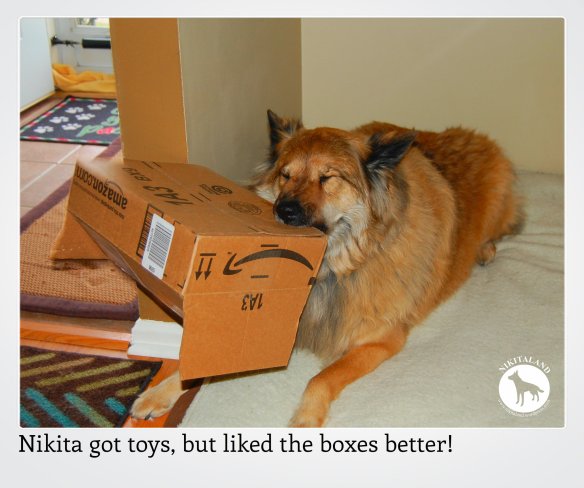 NIKITA LOVES BOXES